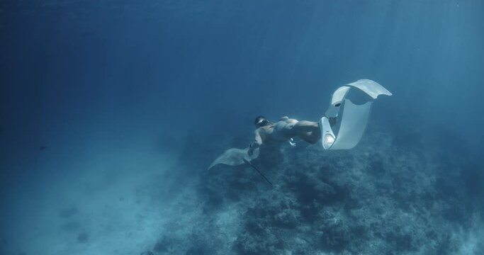 Woman with freediving fins swimming with sting ray in blue sea in the Maldives.