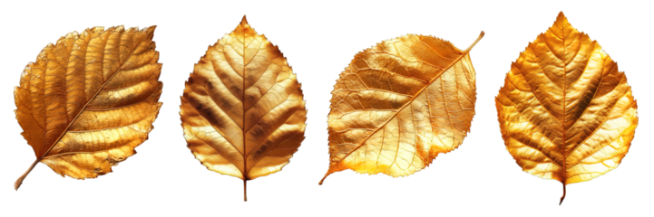 gold leaf isolated on transparent background ,golden leaf png ,generative ai