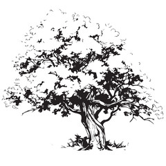 A simple tattoo of an oak.