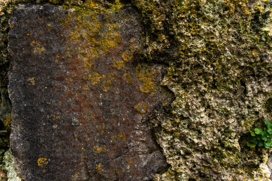 imagen detalle textura piedra con relieves 