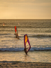 windsurfers with colorful sails surfing at sunset beach, milnerton, Cape Town, South Africa