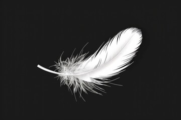 Obraz premium A solitary white feather, delicately resting on a stark black canvas, symbolizing the power of the written word and the beauty it holds within