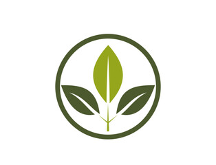 organic icon. eco, plant and nature symbol. vector image in flat design
