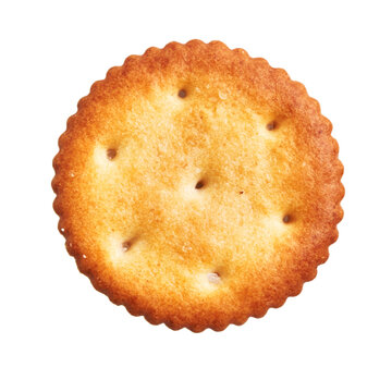  Delicious single salty biscuit over isolated white background