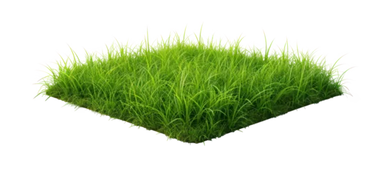 Papier Peint photo Herbe Small green grass lawn of square shape. Realistic natural element on a transparent background