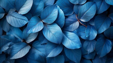 Close-Up of Dense Cluster of Blue Leaves