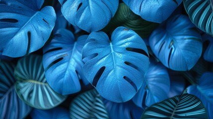 Close-Up of Blue Leaves
