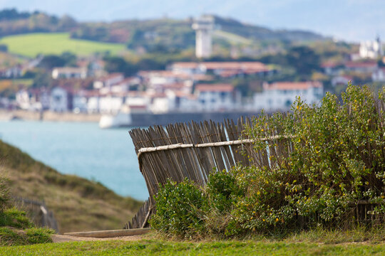 view of the town behind fences