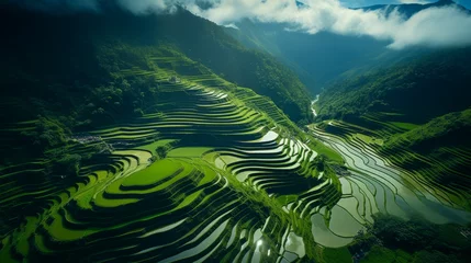 Fotobehang Aerial View of Rice Terraces in the Mountains © Pavlo