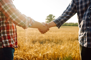 Two farmers shake hands after a fraction in a golden wheat field. Farm agreement. Negotiation....