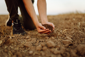Farmer holding soil in hands close-up.Farmer is checking soil quality before sowing wheat. Agriculture, gardening or ecology concept