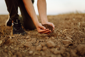 Farmer holding soil in hands close-up.Farmer is checking soil quality before sowing wheat....