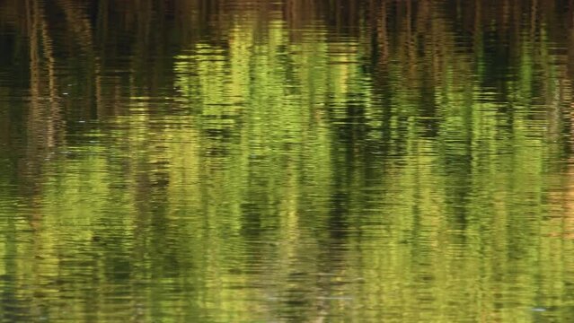 Telephoto shot rippling water reflections green yellow brown tidal river morning sunlight