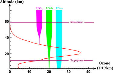 Ozone levels at different altitudes  and blocking of ultraviolet radiation in different bands.Vector illustration.