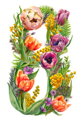 Flowers tulips, mimosa, hyacinths in the shape of the number 8 on a light background, watercolor style, vertical. International Women's Day. Postcard for March 8
