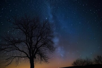 Fototapeta premium Night sky photography with stars and the milky way in clear view