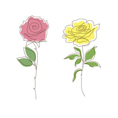 Vector hand drawn one line, rose illustration