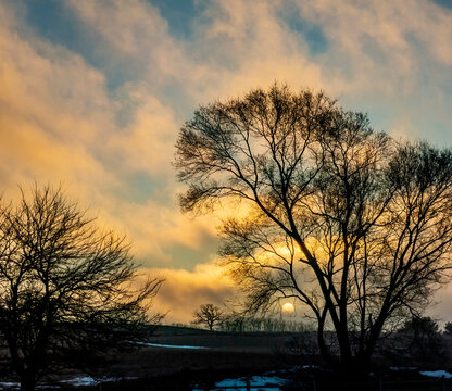 Tree silhouettes at sunrise with dramatic golden and pink clouds and a blue sky.