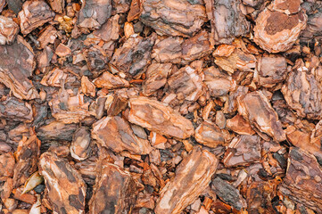 Background, texture of pieces of brown wet after rain coniferous, spruce bark. Photo of nature, top view, close-up, decor.
