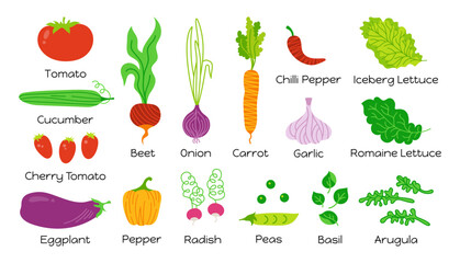 Vegetables with inscriptions cartoon set. Childish drawing vegetable carrot, cucumber, lettuce, pepper onion garlic etc. Hand drawn healthy diet farm product. Vegetarian baby menu. Vector for kids