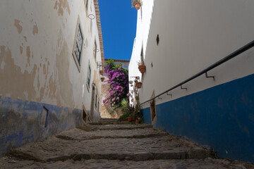Street of the beautiful medieval village of Obidos, Portugal, with its typical white and blue facades and flowers.