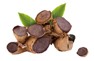 Black galingale rhizome and green leaf on transparent background.