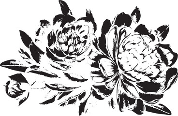 vector peony flowers sketch illustration