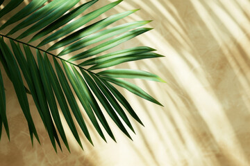 Green tropical palm tree leaves on beige background, Top view Minimal fashion summer concept. Flat lay, copy space