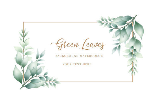 Beautiful watercolor green leaves background 