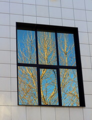 Part of a modern building with a window and trees reflected in it