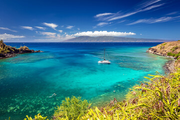 Snorkeling in the turquoise sea at Honolua Bay on the Island of Maui, Hawaii - obrazy, fototapety, plakaty
