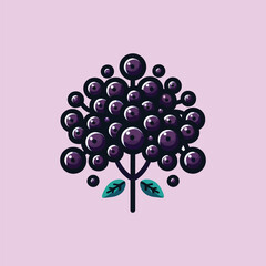 Fototapeta premium Elderberry Cluster Vector Illustration