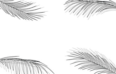 tropical palm leafs line illust background