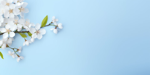Frame with white cherry blossoms on light blue background. Happy Easter concept. Congratulations on Mother's Day or March 8. Simple spring template, greeting card, banner. Top view, flat layer with