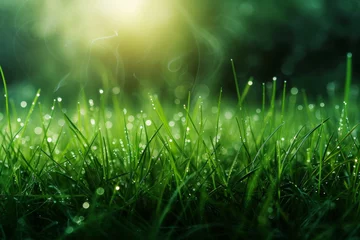 Deurstickers Groen The morning sun filters through the dew-laden grass, creating a sparkling carpet of emerald green that invites peaceful contemplation.