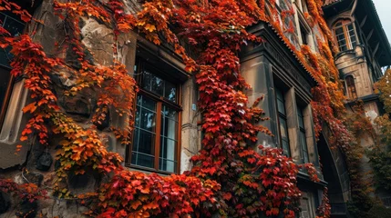 Zelfklevend Fotobehang Autumn foliage with vintage window of Prague city in Czech Republic in Europe. © Joyce