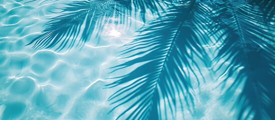 Fototapeta na wymiar Light blue water surface with palm leaf shadow, summer vacation banner at the beach