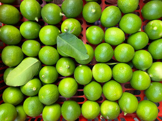 Fresh green kaffir limes in fruit basket. fresh oranges for cooking and health
