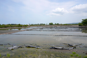 View of salt fields submerged in water during a clear sky during the day