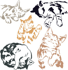 Cats sleeping vectors art colorful for decoration