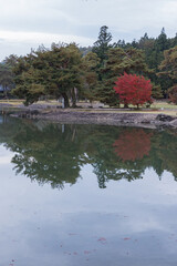 Fototapeta premium 日本 岩手県西磐井郡平泉町にある毛越寺庭園の浄土庭園と紅葉