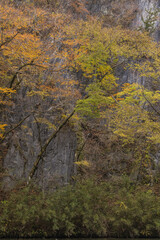 日本　岩手県一関市を流れる砂鉄川沿いの渓谷、猊鼻渓の舟下りの船上から見える紅葉