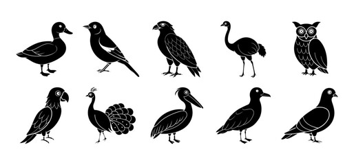 Collection of bird silhouette elements