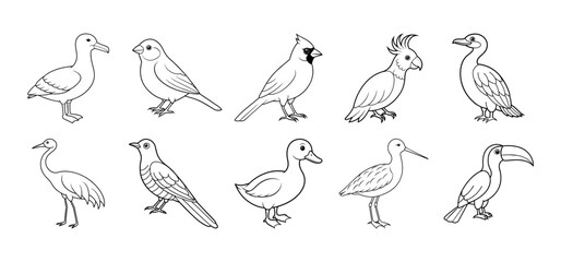 Fototapeta na wymiar Collection of bird silhouette elements