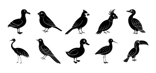 Collection of bird silhouette elements