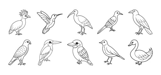 Collection of bird silhouette elements