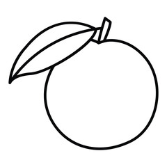 vector illustration of an orange.  Fresh fruit background isolated on white.