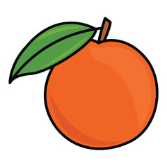 vector illustration of an orange.  Fresh fruit background isolated on white.