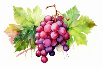 Illustration of grape and muscat in watercolor with leaf elements. Generative AI - obrazy, fototapety, plakaty