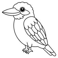 kookaburra
